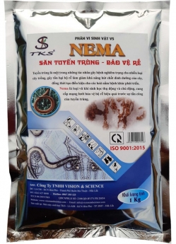 PHÂN VI SINH VẬT VS  - NEMA - SĂN TUYẾN TRÙNG  -  BẢO VỆ RỄ - GÓI 1KG