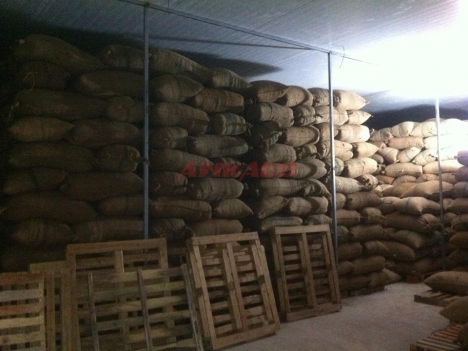 báo giá lắp đặt kho lạnh bảo quản nông sản tại daklak
