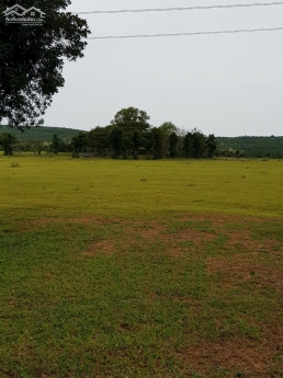 Bán 15,297m2 đất vườn hoà thắng cách ĐT 716 1.2km gần liên huyện Lh 0938677909