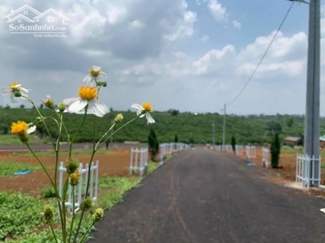 KDC Richard Lộc Phát nằm ngay vị trí tam giác vàng với 42 nền đất thổ cư 100%