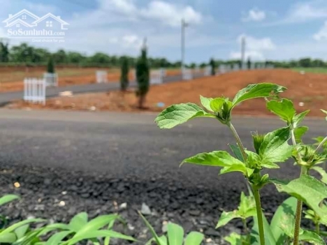 KDC Richard Lộc Phát nằm ngay vị trí tam giác vàng với 42 nền đất thổ cư 100%