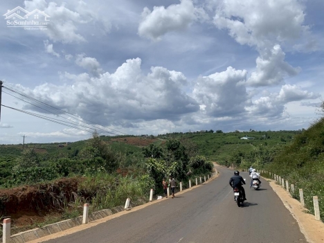 bán gấp trong hôm nay