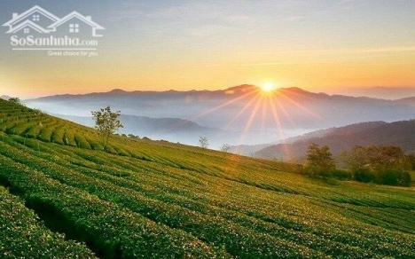 bán nhanh trong ngày lô đất 500tr/lô tp Bảo Lộc