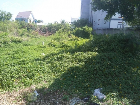 Bán đất thổ cư,đường nhựa 4m