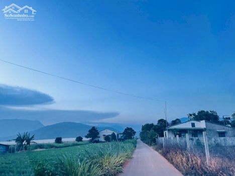 Chính chủ bán đất tại Suối Thông A - xã Đạ Ròn - huyện Đơn Dương - tỉnh Lâm Đồng