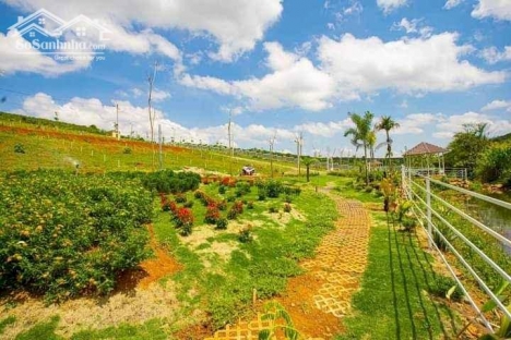 về quê sinh sống, cần bán gấp lô nghỉ dưỡng giá rẻ nhất khu vực