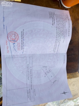 Chính chủ bán đất tại Suối Thông A - xã Đạ Ròn - huyện Đơn Dương - tỉnh Lâm Đồng