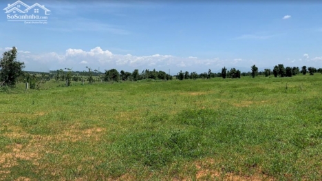 Hơn 3ha đất vườn Hồng Thái giá chỉ 3,2 tỷ đồng, đất đẹp, có đường hiện hữu, sẵn sổ