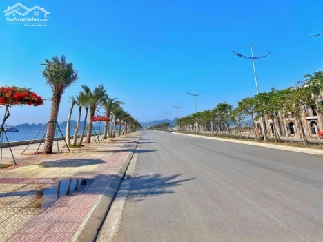 MUA NHÀ CÓ BIỂN. DỰ ÁN ĐẤT NỀN ĐƯỜNG BAO BIỂN HẠ LONG - CẨM PHẢ
