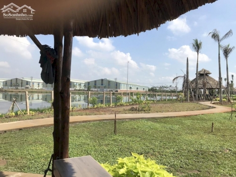 Mở Bán KDC Mỹ Hạnh Bắc - Hamilton Garden, Ngay Mặt Tiền KT11. DT 80 - 90m2, Giá F0, 500tr Nhận Nền