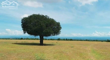 Cần bán lô đất ngay cạnh đường liên huyện kết nối sân bay Phan Thiết, kênh nước, SHR