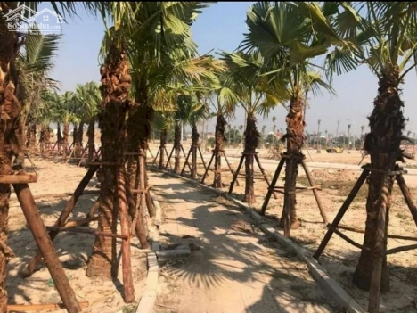 Bán Lô đất giá TỐT NHẤT cạnh hồ điều hòa tại Chí Linh Palm City chỉ từ 12tr/m²: 0326 222 555