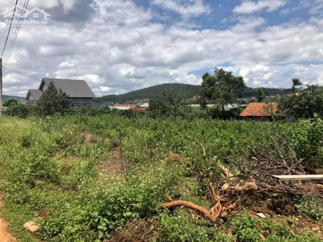 Đất Thị Trấn Nam Ban - huyện Lâm Hà, cách Đà Lạt 20km, sổ riêng, có thổ cư gần chùa Linh Ẩn, khu du