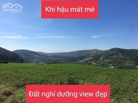 Bán đất Đà Lạt gần khu Du Lịch Thác Voi - Chùa Linh Ẩn giá đúng 595 triệu/ 598m2