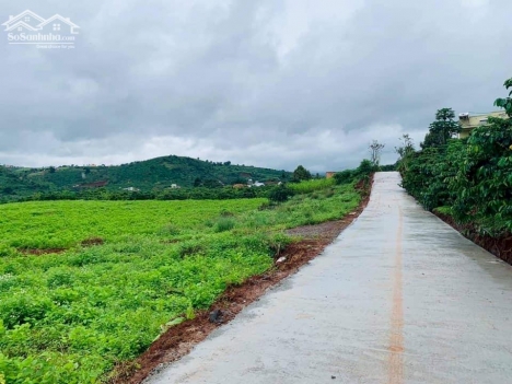 Bán đất Đà Lạt gần khu Du Lịch Thác Voi - Chùa Linh Ẩn giá đúng 595 triệu/ 598m2