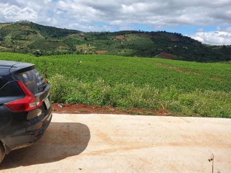 Bán đất Đà Lạt gần khu Du Lịch Thác Voi - Chùa Linh Ẩn giá đúng 595 triệu/ 598m2