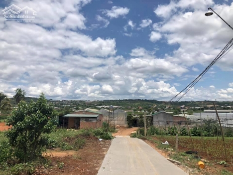 Đất Thị Trấn Nam Ban - huyện Lâm Hà, cách Đà Lạt 20km, sổ riêng, có thổ cư gần chùa Linh Ẩn, khu du