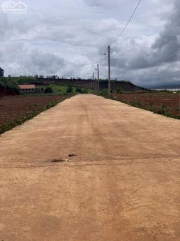 Bán Đất ven Đà Lạt tại Bồng Lai Đức Trọng