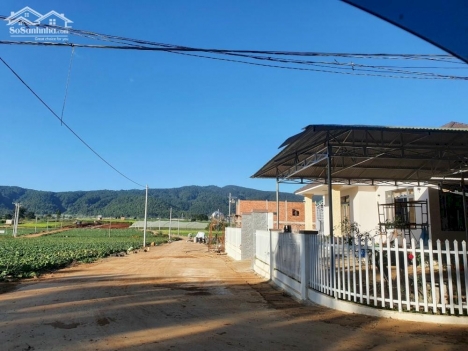 cần tiền bán lỗ lô đất ngay khu dân cư thị trấn thạnh mỹ