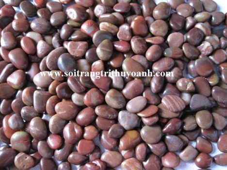 Sỏi trang trí biệt thự sân vườn