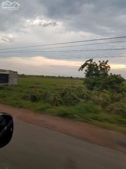 Bán 12,353m2 đất nông nghiệp hồng thái gần liên huyện, kênh nước Lh 0938677909
