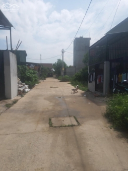 Chủ Ngộp ngân hàng cần bán gấp lô đất Tân Hạnh - Biên Hòa 19,5TR/M2