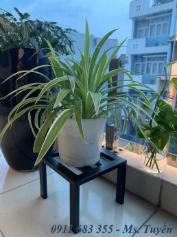 Ghế đôn sắt, ghế đôn vuông giá rẻ, kích thước đôn 20x20cm chắc chắn