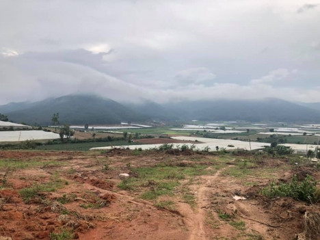 Đất nghỉ dưỡng ven TP Đà Lạt hơn 500m2/ Thổ cư 100m2 giá 450 triệu