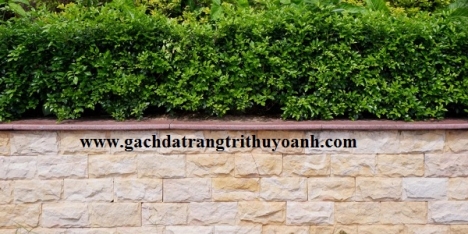 Đá tự nhiên trang trí tiểu cảnh sân vườn