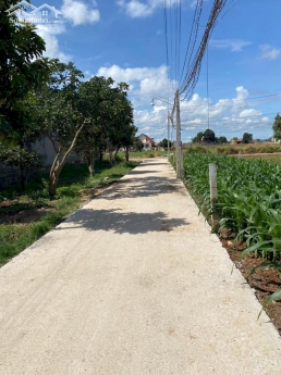 Bán đất tổ 34 tại Liên Nghĩa - Đức Trọng - Lâm Đồng