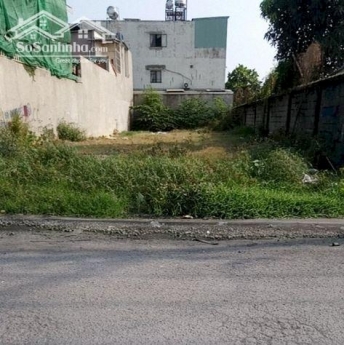 Tại sao vị trí đất này thu hút nhà đầu tư?