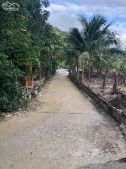 Bán đất rẻ đường 5m thôn Như Xuân 1 - vĩnh Phương