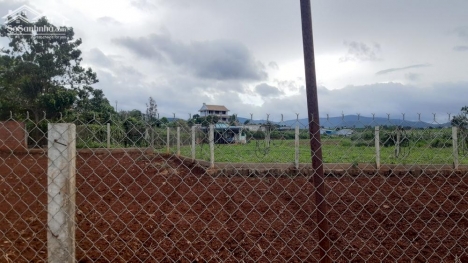 Bán lô đất 10x23m full thổ cư gần trường Tiểu học Bồng Lai- Hiệp Thạng giá 1ty330 triệu