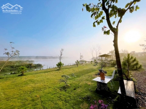 Tại sao vị trí đất này thu hút nhà đầu tư?