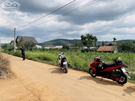 Bán đất thổ cư gần chợ Thăng Long Nam Ban - gần Chùa Linh Ẩn - giá rẻ bất ngờ