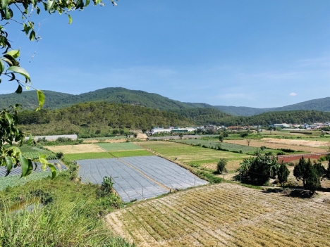 Bán Đất Nền Ven Đà Lạt tại xã Ka Đô- Đơn Dương-Lâm Đồng dưới 500 triệu