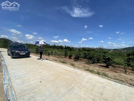 TÌM CHỦ MỚI HỮU DUYÊN YÊU ĐÀ LẠT