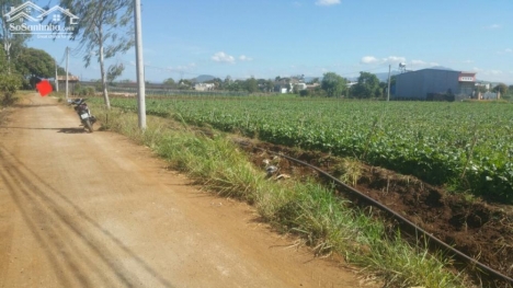 Bán đất 5x24m sẵn thổ cư tổ 12- Liên Nghĩa- Đức Trọng. Cách Quốc Lộ 20 đúng 500m giá 1ty1