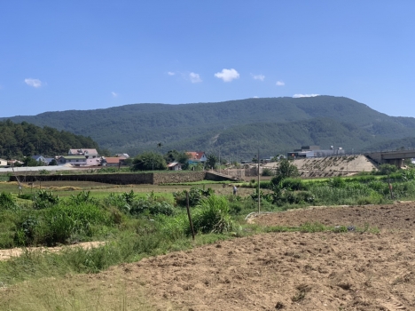 Đất nền ven Đà Lạt giá dao động từ 390 triệu đến 480 triệu