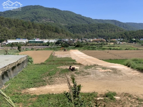 Đất nền ven Đà Lạt với giá dao động từ 390 triệu đến 480 triệu