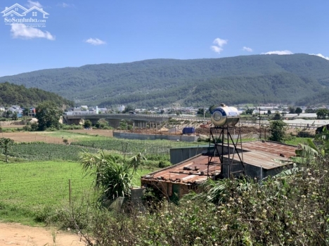 Đất nền ven Đà Lạt với giá dao động từ 390 triệu đến 480 triệu