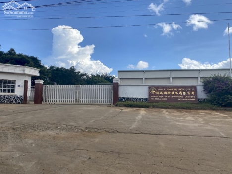 Bán đất 12x20m sẵn thổ cư tại đầu KCN Ka Đô- Đơn Dương- Lâm Đồng giá 800triệu