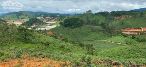 Bán nhanh lô đất tại Bảo Lộc- Lâm Đồng giá cực mềm