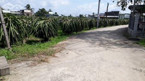 Đất Mặt Tiền Trục Chính Phú Mỹ-Hàm Mỹ-Hàm Thuận Nam- Bình Thuận-có 300m2 thổ cư