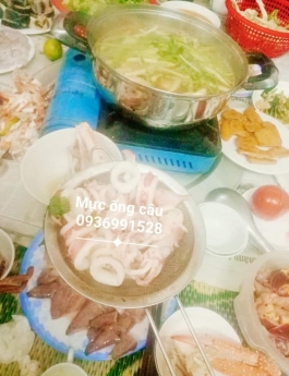 Bán mực câu nháy tuoi giá tốt