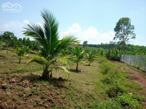 Đất vườn Vĩnh Tân Vĩnh Cửu 11000m2