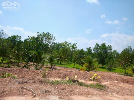 Đất vườn Vĩnh Tân Vĩnh Cửu 11000m2