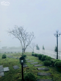 TÌM ĐẤT ĐỂ DƯỠNG LÃO- HÃY ĐẾN LỘC NAM YÊN BÌNH