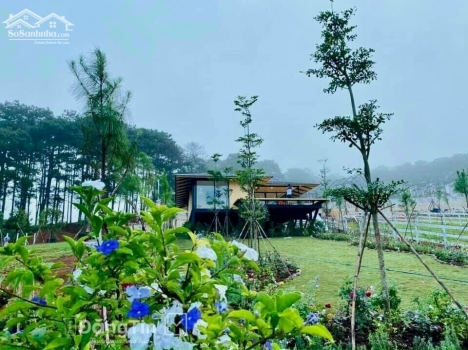 đất nghỉ dưỡng giá đầu tư cách trung tâm bảo lộc 15p chạy xe