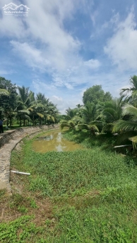 Nhà vườn nghỉ dưỡng 20000m2 Thạnh Phú Vĩnh Cửu gần hương lộ 15
